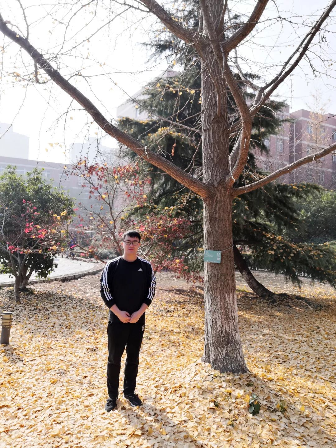 今日太阳队征战之路完整赛程一览无余-九游娱乐APP