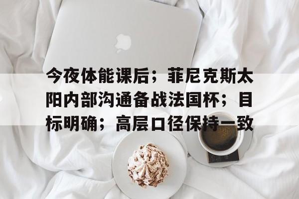 关于今夜体能课后；菲尼克斯太阳内部沟通备战法国杯；目标明确；高层口径保持一致的信息-九游网页版